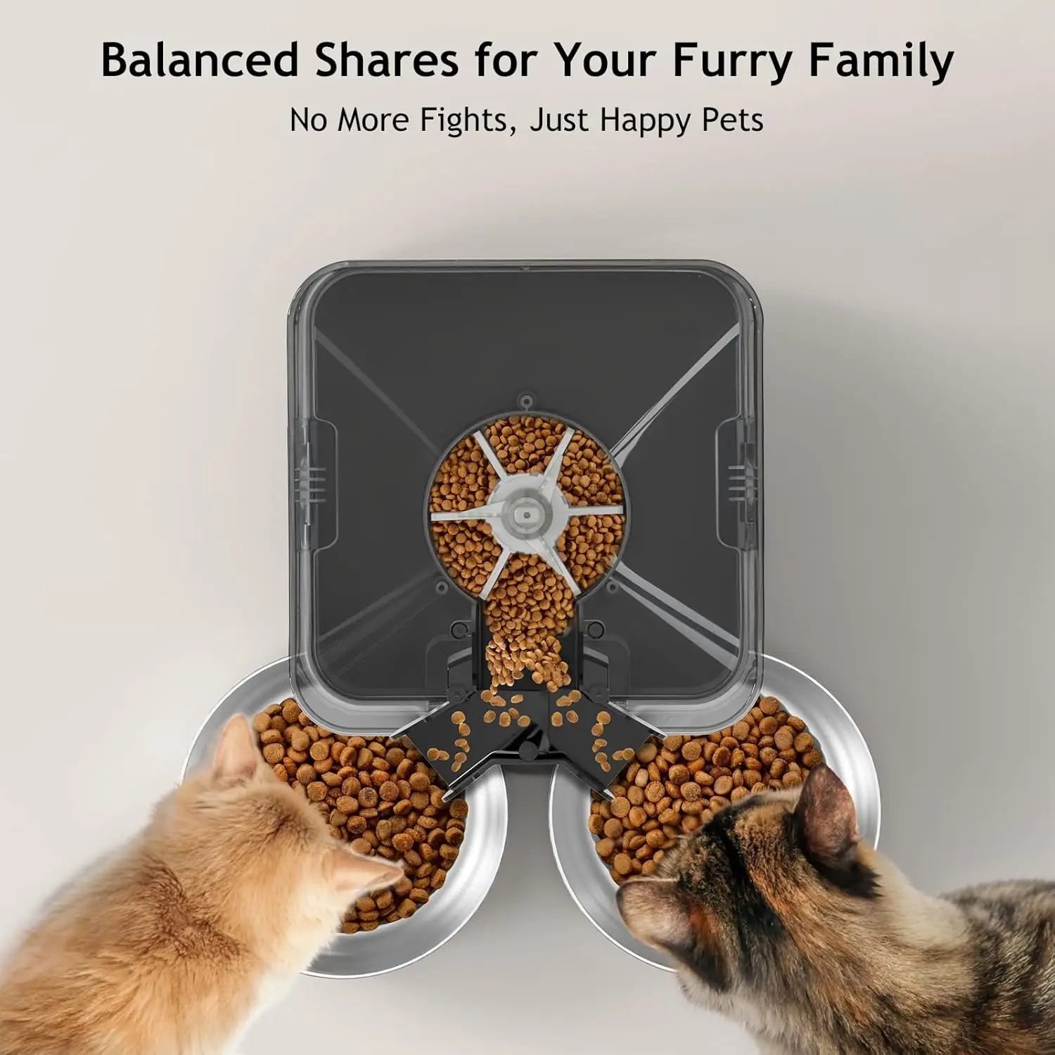 6L Automatic Cat Feeder for Tw - đánh giá và giá Automatic Cat Feeder 6L Timed