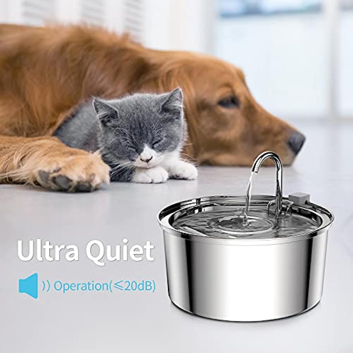 3.2L Automatic Cat Water Fount - đánh giá và giá Smart Pet Water Fountain Wifi