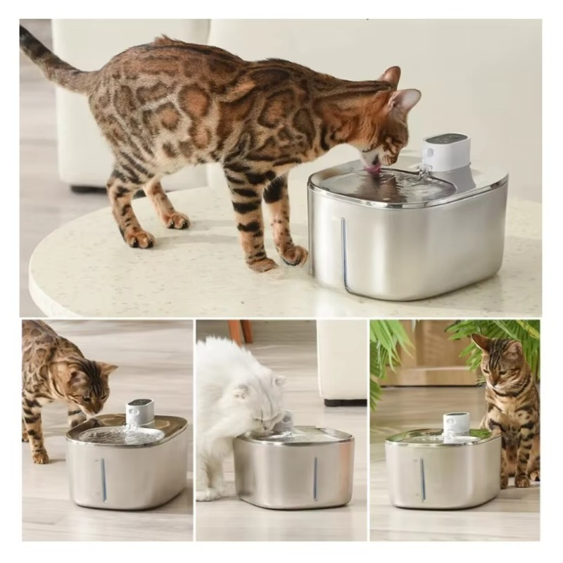 Stainless Steel Pet Water Bowl - đánh giá và giá Pet Water Fountain Stainless Steel