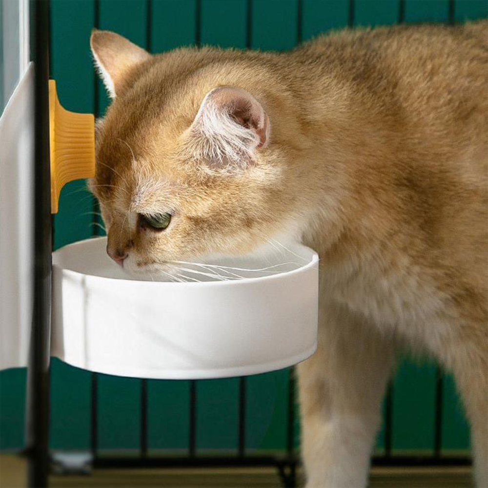 Mèo Lồng Treo Tự Động Vòi Nước - đánh giá và giá Dog Water Fountain Large
