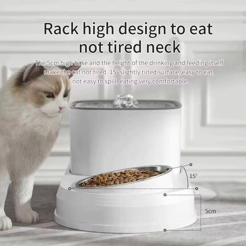 2in1 3L Cat Fountain Automatic - đánh giá và giá Automatic Cat Water Dispenser 3L