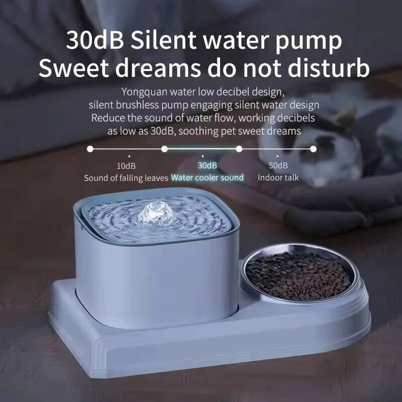 2in1 3L Cat Fountain Automatic - đánh giá và giá Automatic Cat Water Dispenser 3L