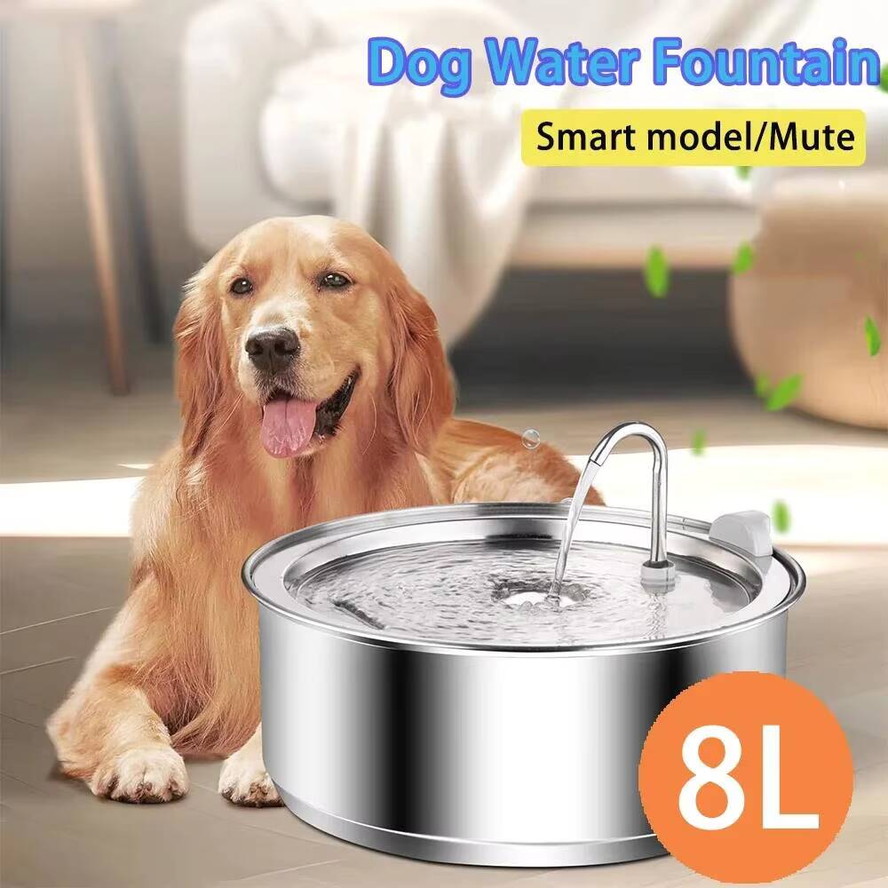 8L Dog Fountain Stainless Stee - đánh giá và giá Dog Water Fountain Large