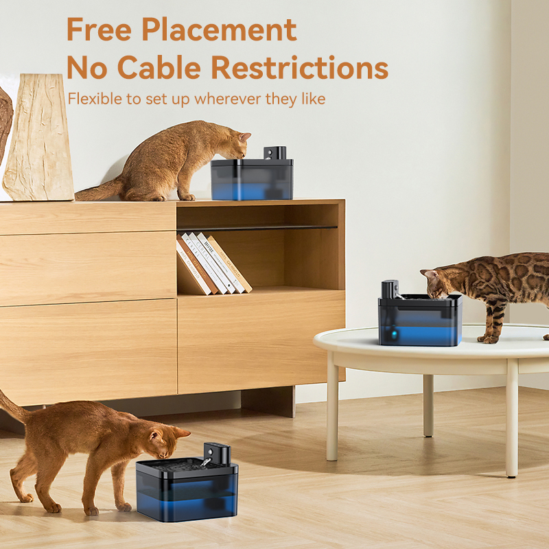 ROJECO Wireless Automatic Cat  - đánh giá và giá Smart Pet Water Fountain Wifi